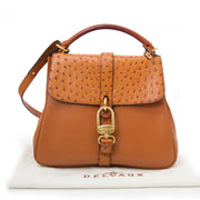 koop veilig aan de beste prijs Delvaux Cognac Ostrich Shoulderbag