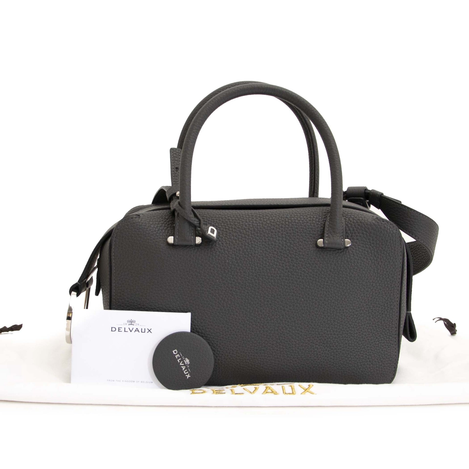 Delvaux Grey Coolbox Bag Smoke Taurillon MM