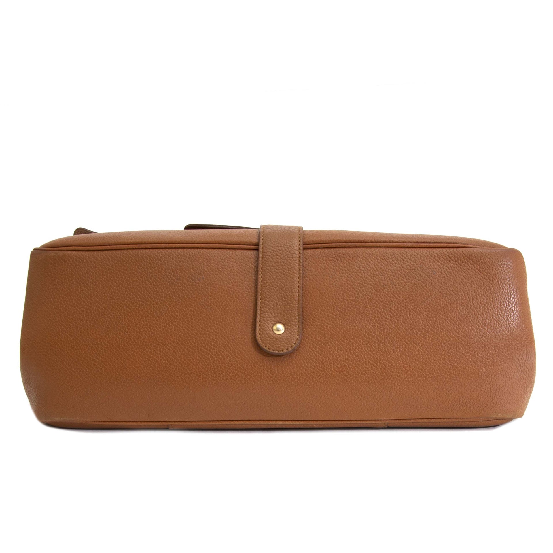 Delvaux Le Colette GM Trotteur Fauve Shoulder Bag