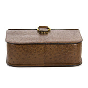 Delvaux Brown Ostrich Top Handle Bag
