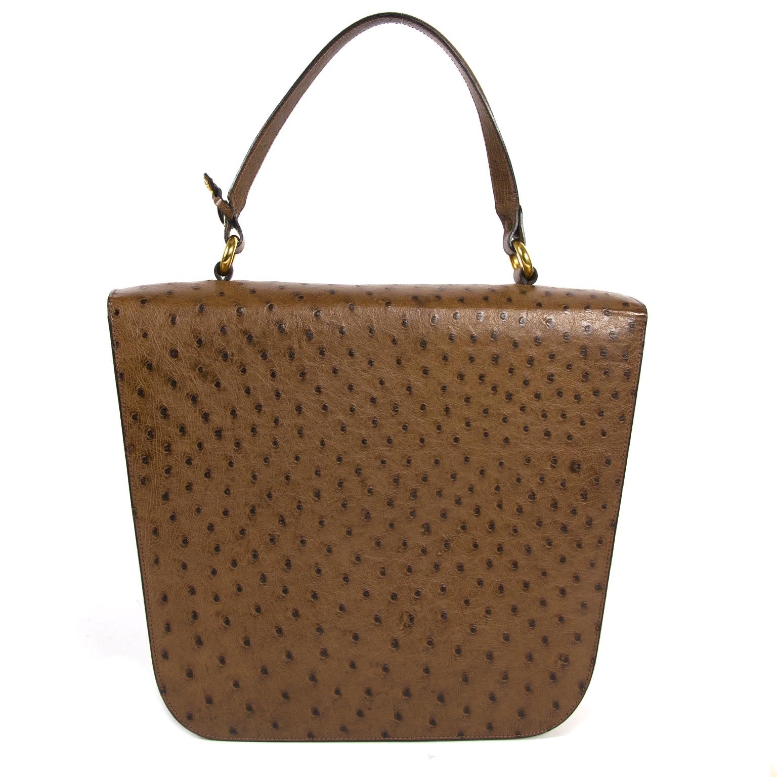 Delvaux Brown Ostrich Top Handle Bag