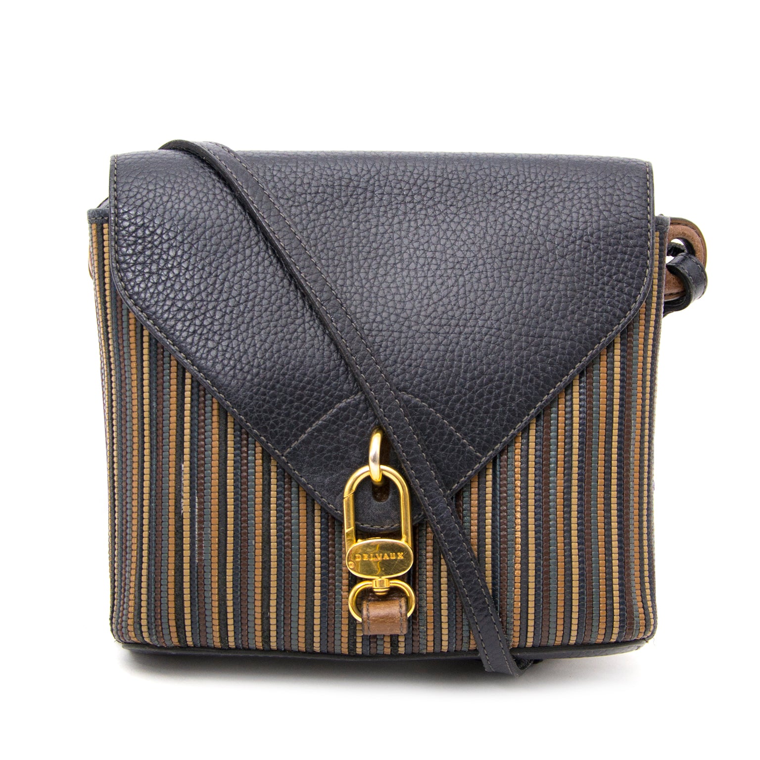 Delvaux Toile de Cuir Multicolor Crossbody Bag