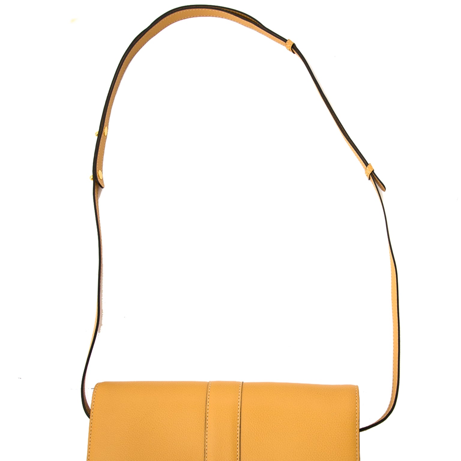 Delvaux Tendresse Jumping Houblon Tas