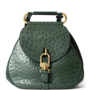 Koop en verkoop Delvaux Green Ostrich 'Cerceau' Bag in struisvogel aan de beste prijs op Labellov