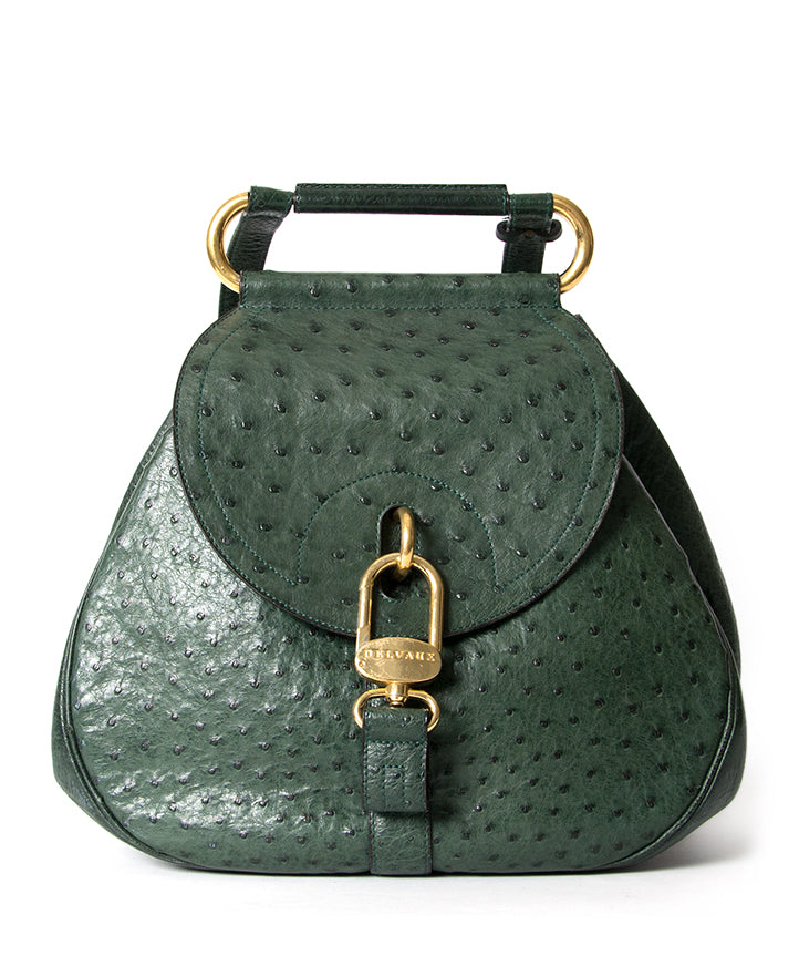 Koop en verkoop Delvaux Green Ostrich 'Cerceau' Bag in struisvogel aan de beste prijs op Labellov