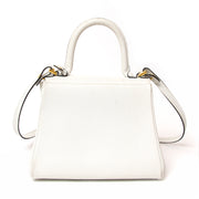 Delvaux Brillant PM White GHW Bag. This Delvaux Brillant MM is a top handle bag with attachable shoulder strap in 'Plume' or greige colored 'Jumping' type calfskin. Gold hardware throughout.