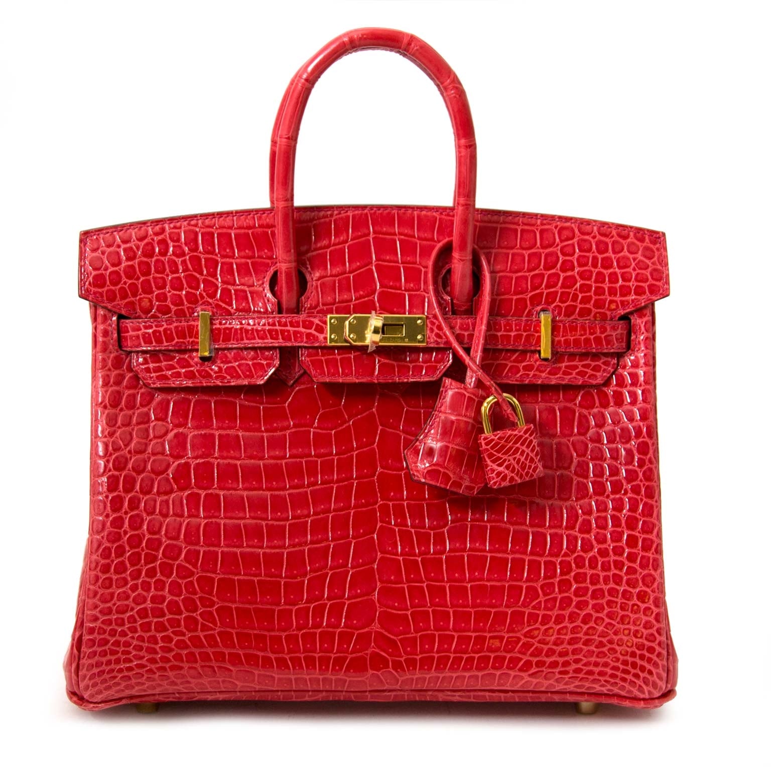 shop safe and secure at labellov.com Hermès Birkin 25 Crocodile Porosus Bougainvillier GHW