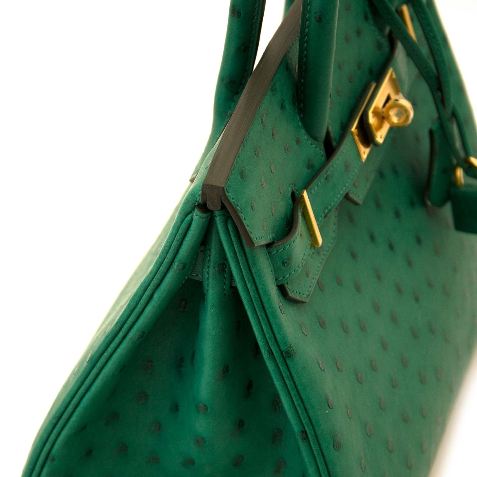 Hermès Birkin 30 Vert Vertigo Autruche GHW