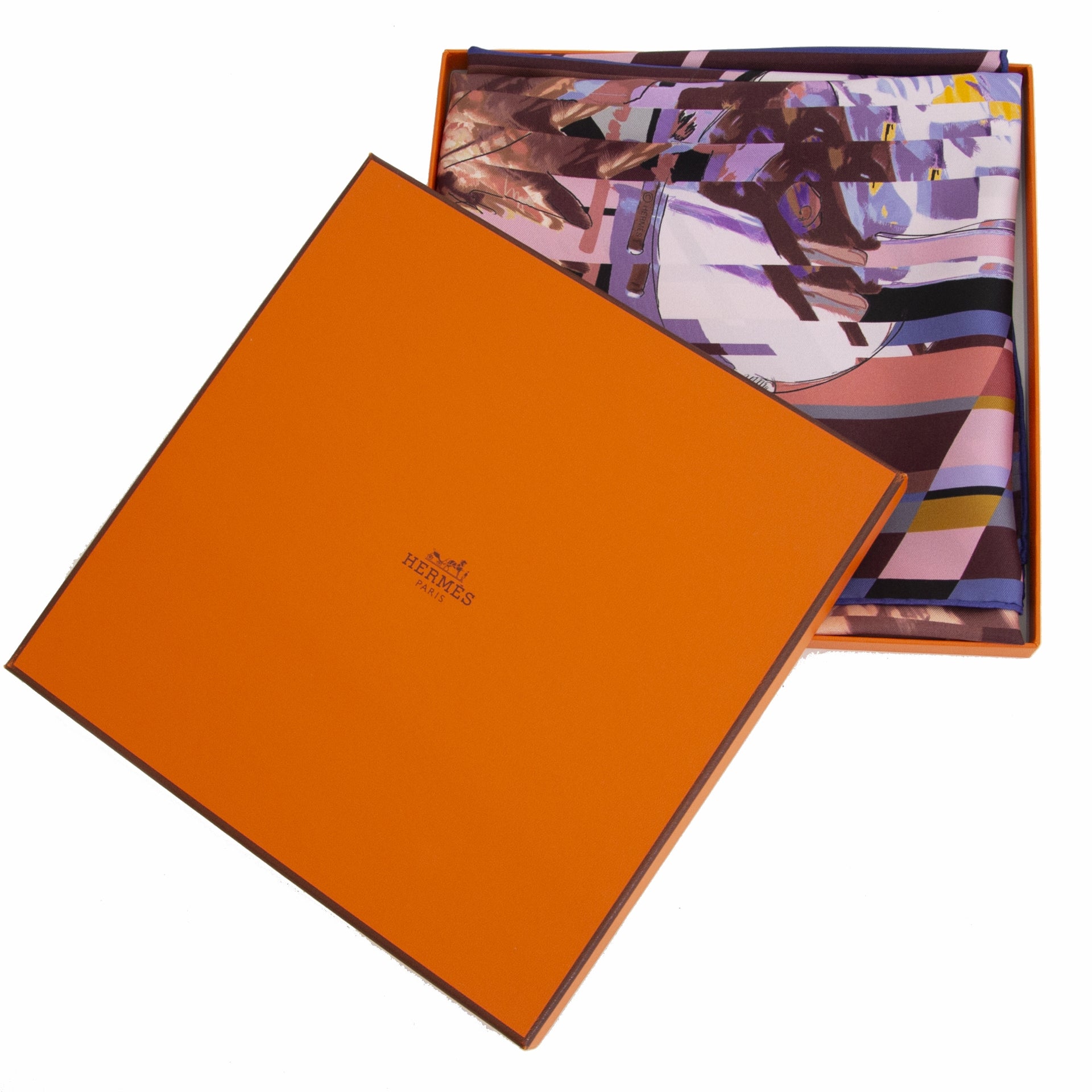 Hermès Carré en Soie "Photo Finish"