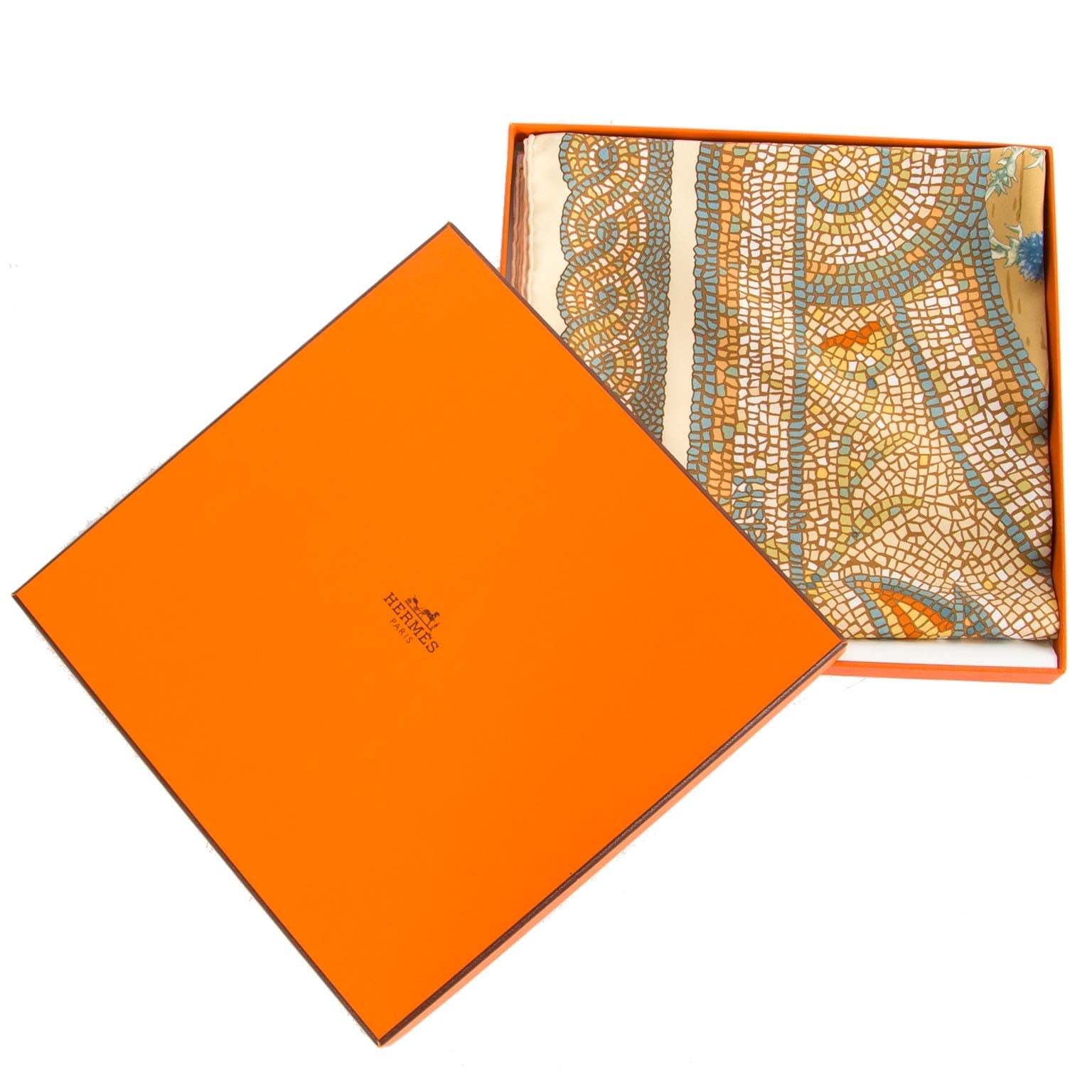 Hermès Silk Scarf Sous Le Cèdre