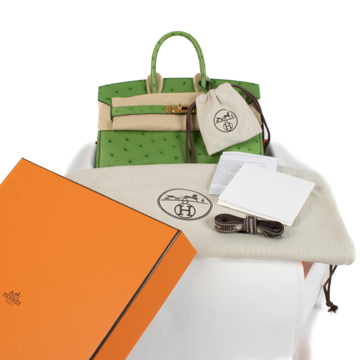 Hermès 2024 Birkin 25 Vert Yucca Ostrich GHW