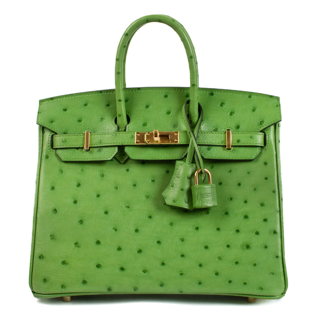 Hermès 2024 Birkin 25 Vert Yucca Ostrich GHW