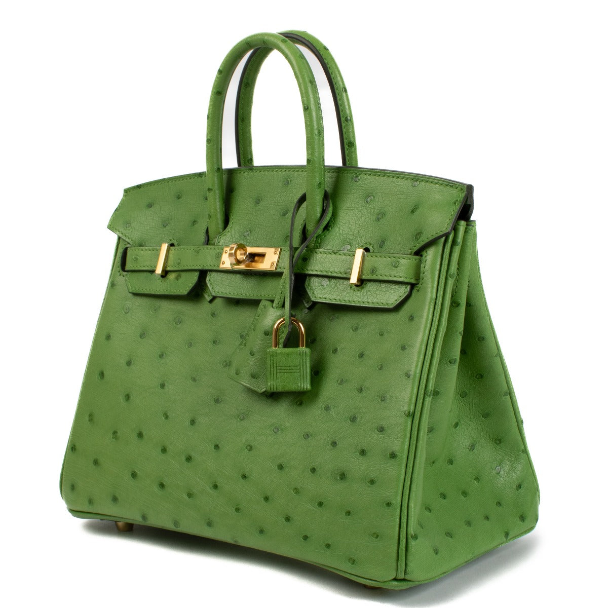 Brand new store fresh Hermès Birkin 25 Vert Yucca Ostrich GHW on www.labellov.com