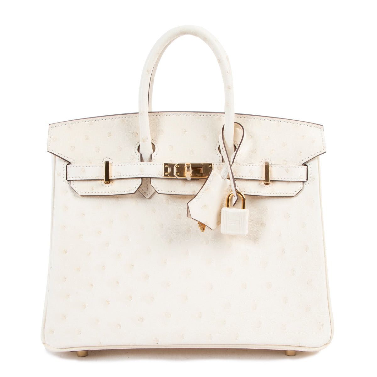 Hermès Birkin 25 Nata Ostrich Gold Hardware
