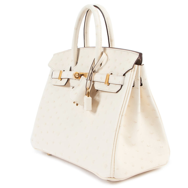 Hermès Birkin 25 Nata Ostrich Gold Hardware