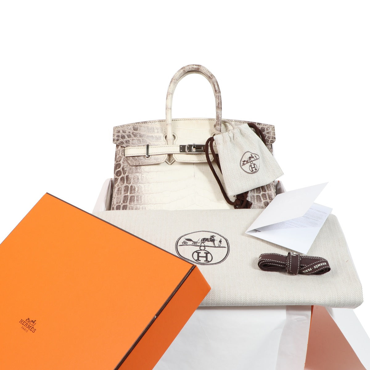 Hermès Birkin 25 Himalaya Niloticus Crocodile Palladium Hardware