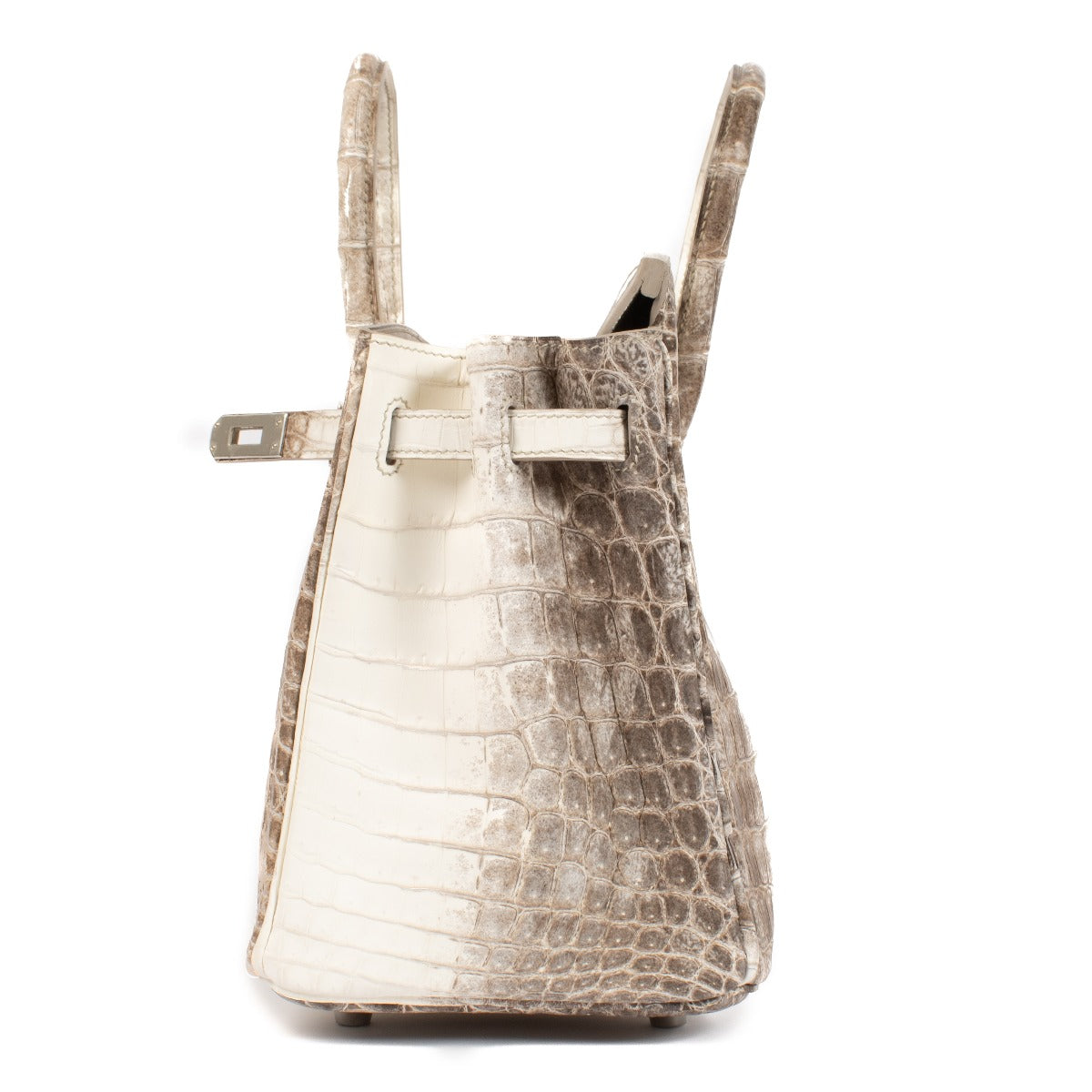 Hermès 2020 Birkin 25 Himalaya Niloticus Crocodile, hermes birkin himalaya, hermes birkin 25 himalaya, hermes birkin himalaya, hermes birkin niloticus, hermes birkin crocodile, hermes himalaya