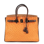 Hermès Birkin 35 Tricolore Autruche Doublure Chevre Pigmente PHW for sale at Labellov luxury in Antwerp