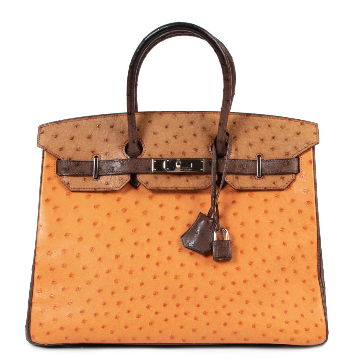Hermès Birkin 35 Tricolore Autruche Doublure Chèvre Pigmentée PHW