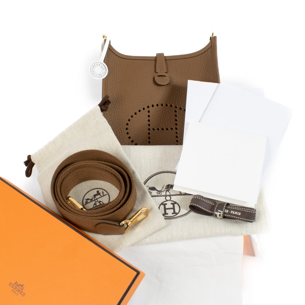 Alezan Hermès Evelyne 16 Clemence