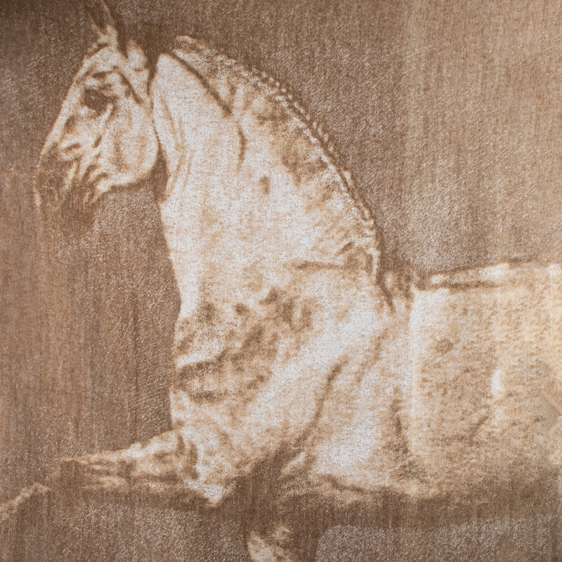 Hermès Cheval d'Attelage Cashmere Throw Blanket for the best price at Labellov secondhand luxury in Antwerp