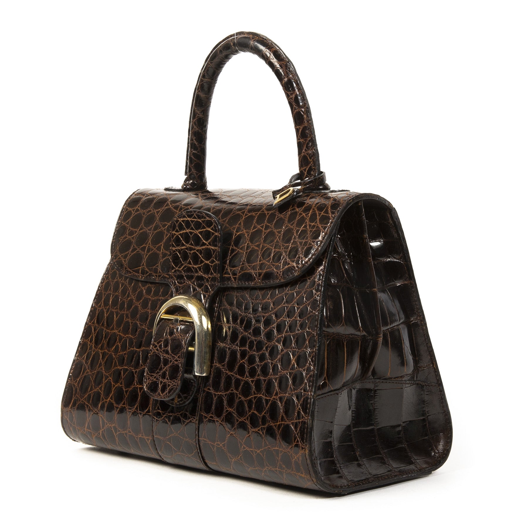 Delvaux Brown Croco Brillant PM