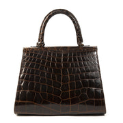 Delvaux Brown Croco Brillant PM