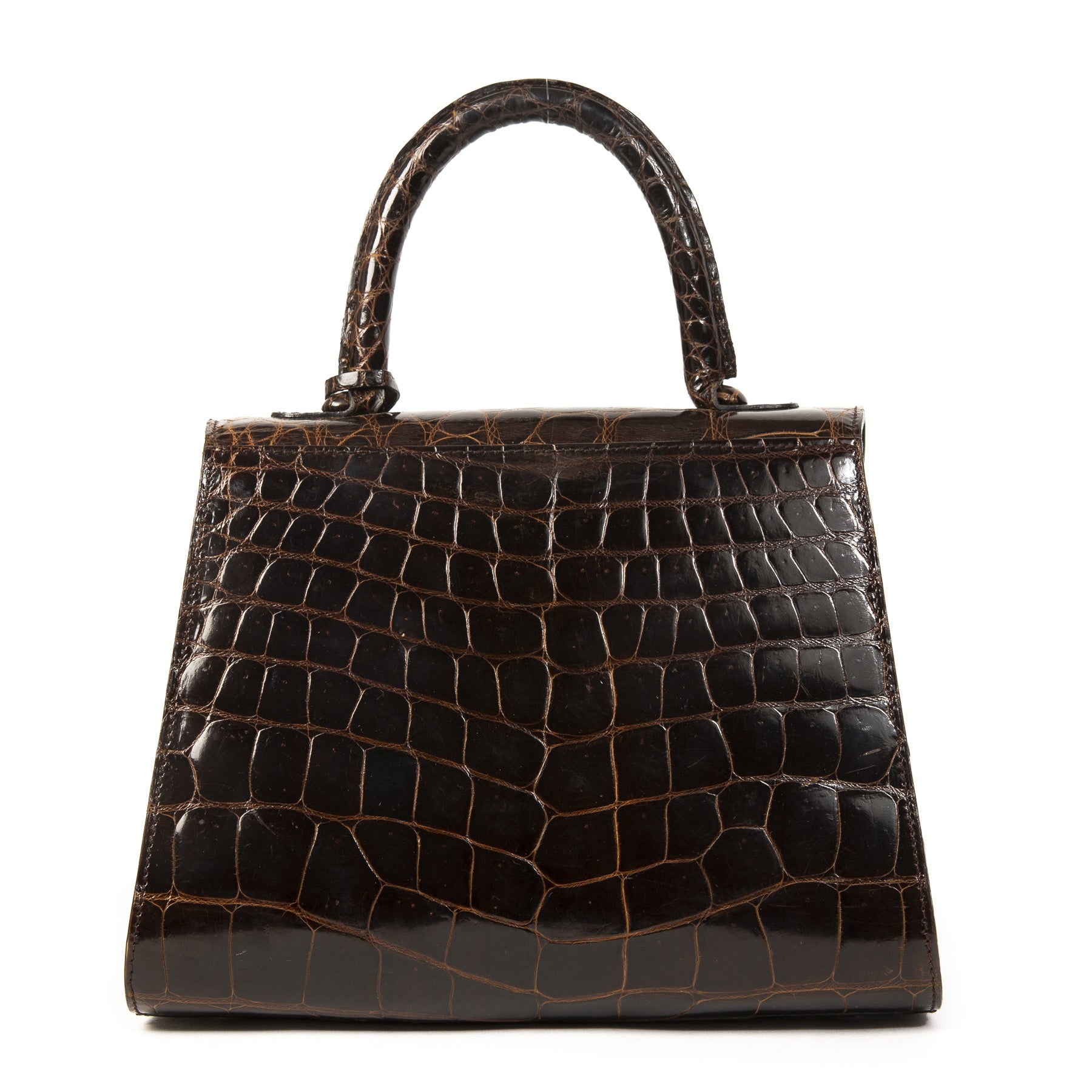 Delvaux Brown Croco Brillant PM