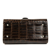 Delvaux Brown Croco Brillant PM