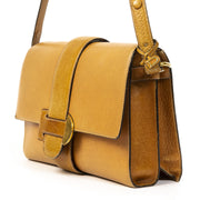 Delvaux Naturel Crossbody Bag veilig online kopen