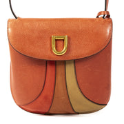 Delvaux Multicolour Crossbody Bag