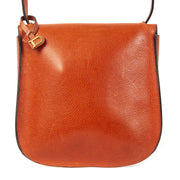 Delvaux Multicolour Crossbody Bag