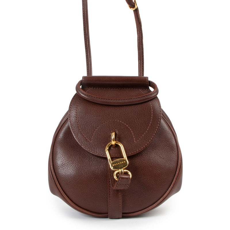 Delvaux Brown Grained Leather Mini Cerceau Crossbody Bag