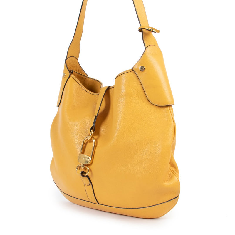 Delvaux Yellow Shoulder bag