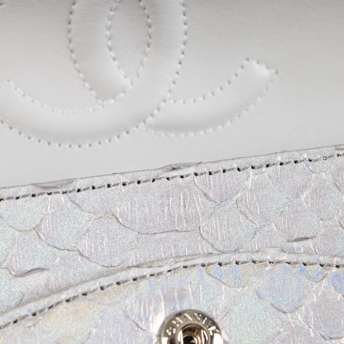 Chanel Iridescent Python Medium Classic Flap 11.12 Bag
