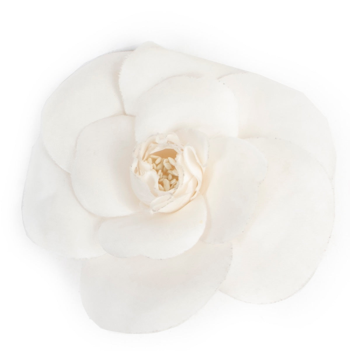 Coco Chanel's favorite flower, she was givin a bouquet of camelias by her lover, Boy Chape