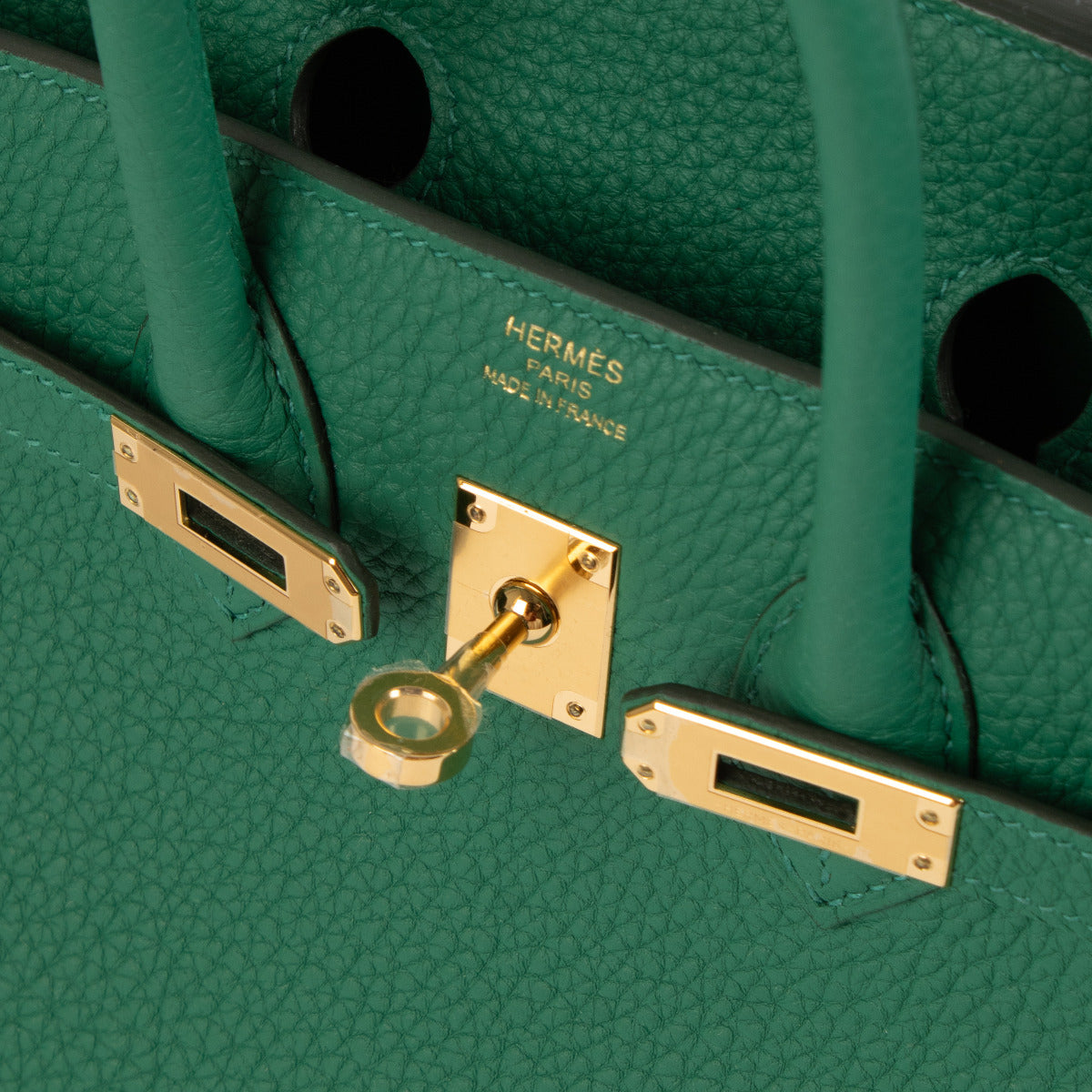 Hermès Birkin 25 Togo Vert Vertigo GHW