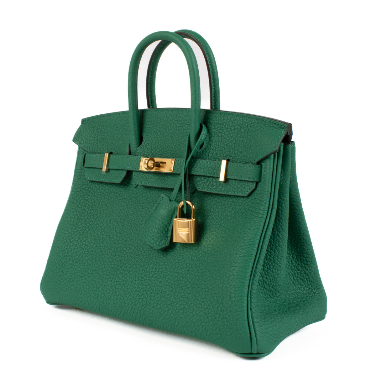 Hermès Birkin 25 Togo Vert Vertigo GHW