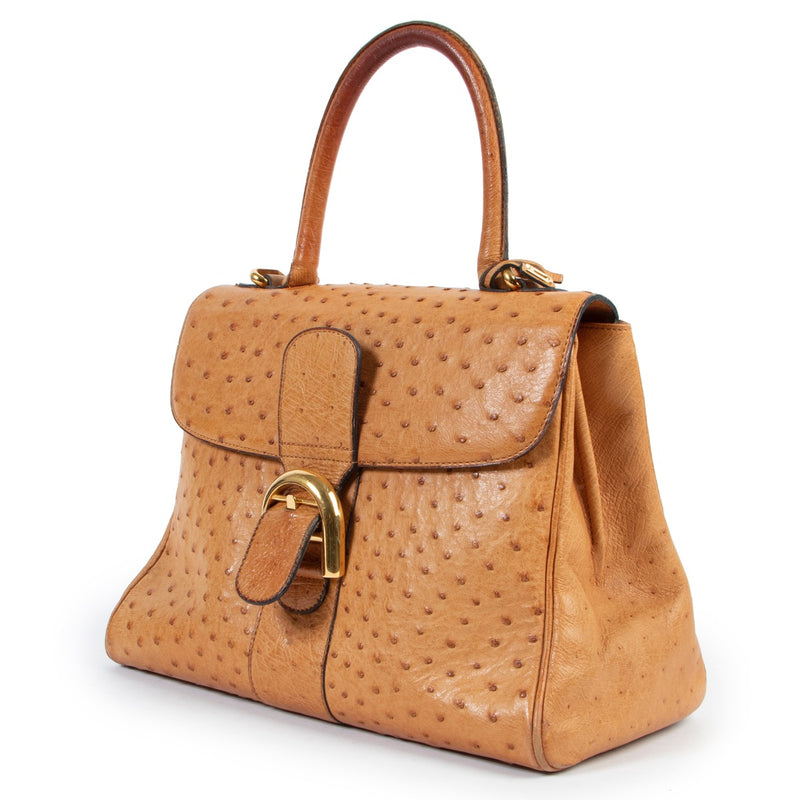 Buy these Delvaux Cognac Brillant Ostrich for a reasonable price at Labellov online or in store. Koop deze Delvaux Cognac Brillant Ostrich voor een redelijke prijs bij Labellov online of in de winkel.