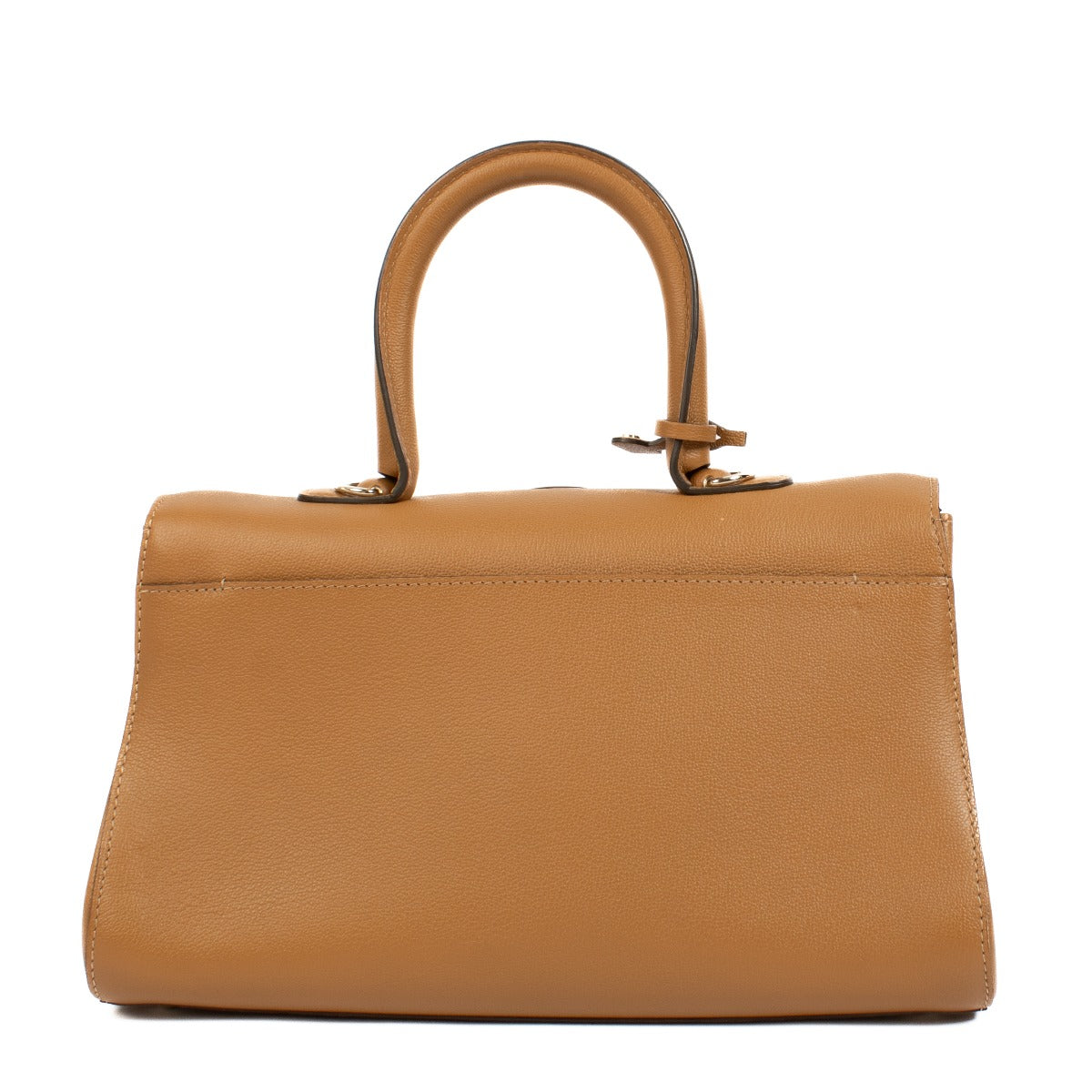 authentic pre loved Delvaux Végétal Rodéo Calf Brillant East West Mini on Labellov.com