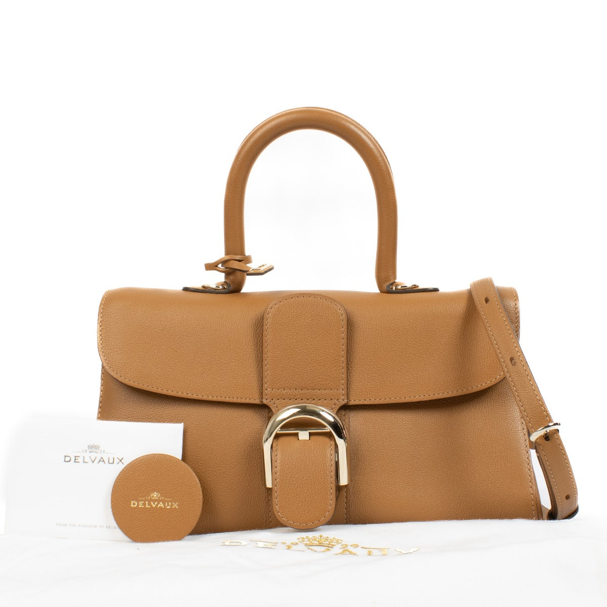 authentic pre loved Delvaux Végétal Rodéo Calf Brillant East West Mini on Labellov.com