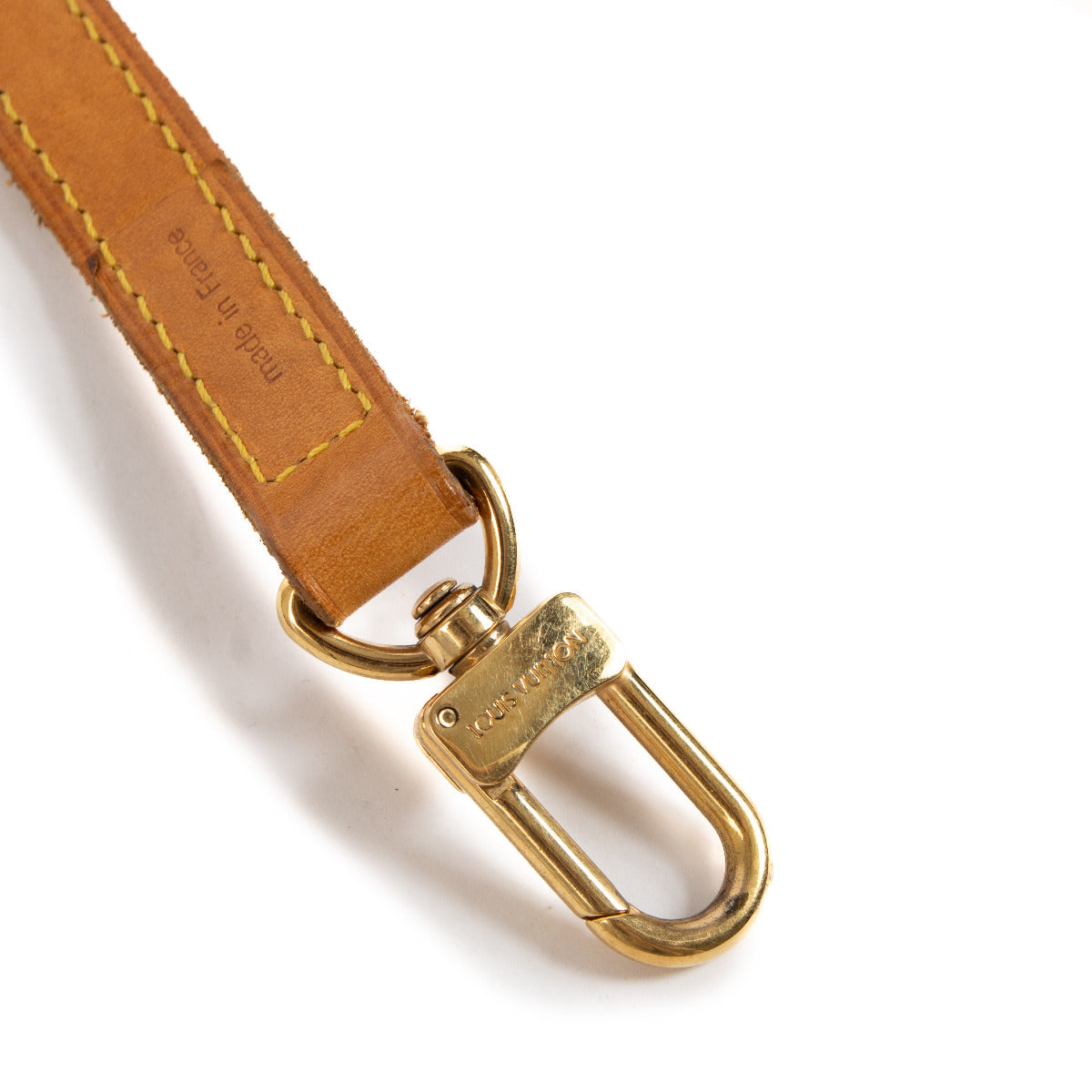 Louis Vuitton VVN Schouderband