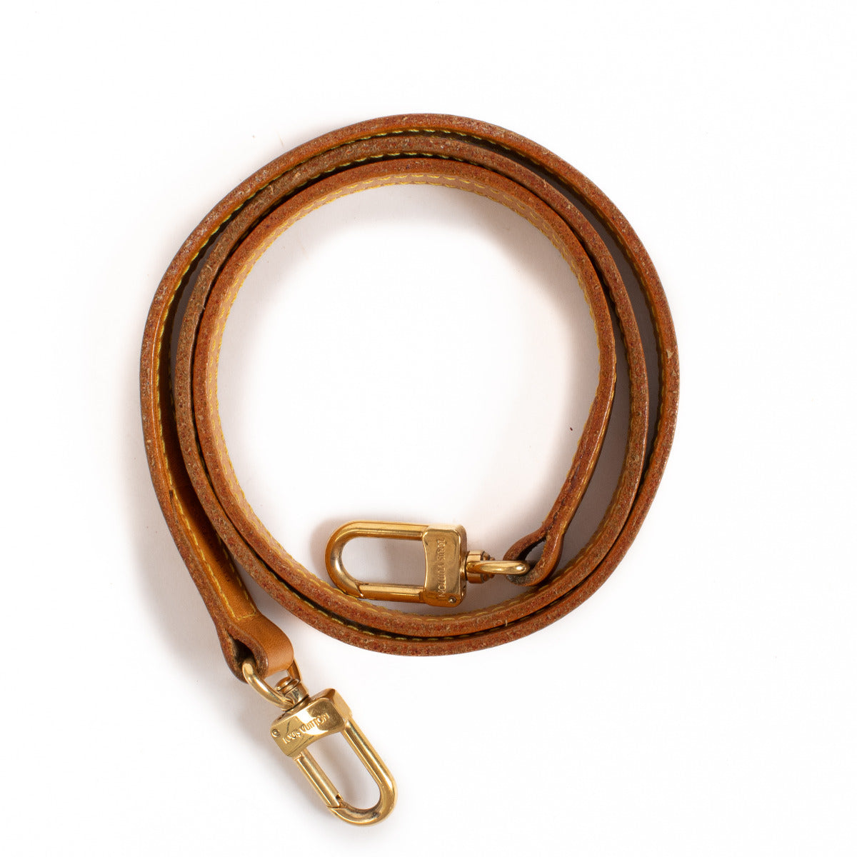 Louis Vuitton VVN Bag Strap
