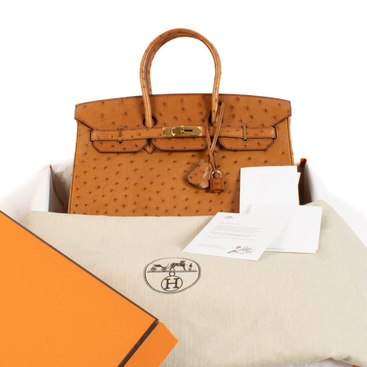 Hermès Birkin 35 Gold Ostrich GHW