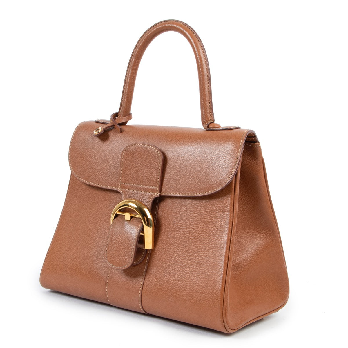Delvaux Fauve Brillant PM + Strap