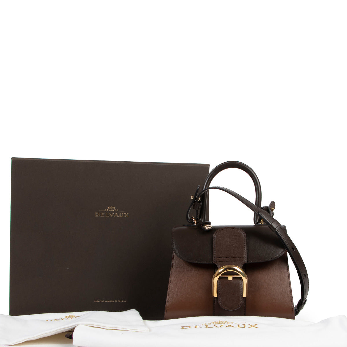 Delvaux Brillant Boxcalf Brown Ombre Mini + Strap