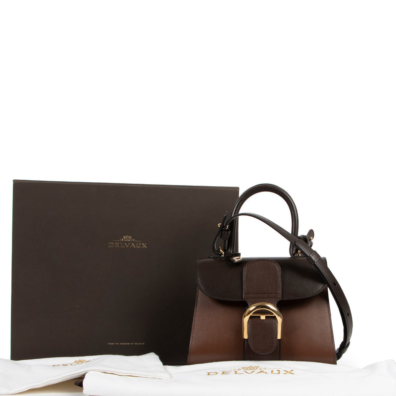 Delvaux Brillant Boxcalf Brown Ombre Mini + Strap