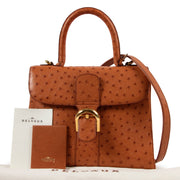 Delvaux Brillant MM Brandy Ostrich Leather