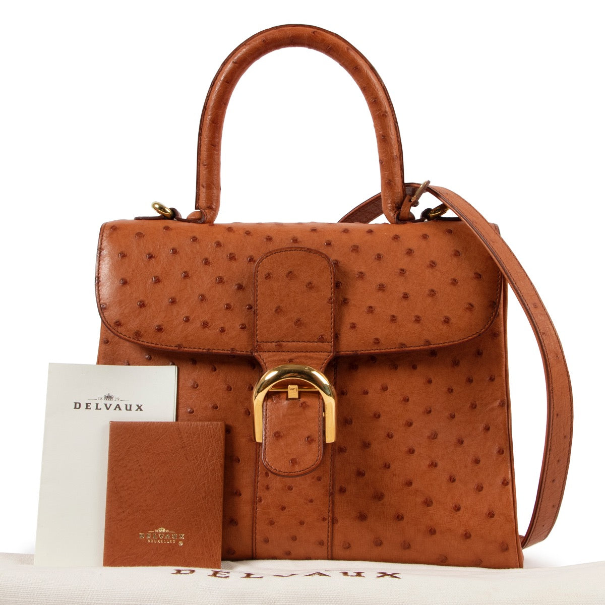 Delvaux Brillant MM Brandy Ostrich Leather