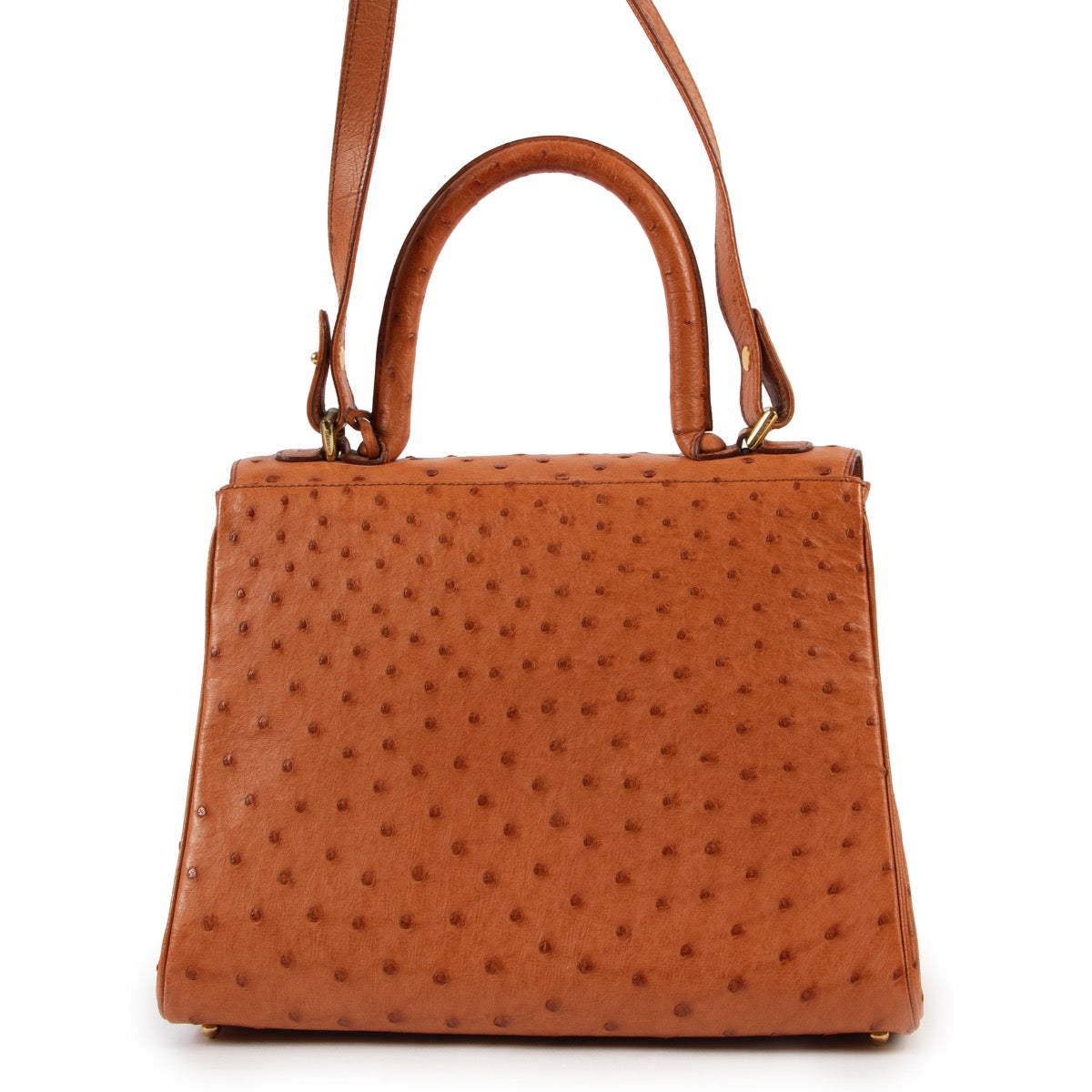 shop safe online Delvaux Cognac Ostrich MM Brillant + Strap